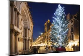 Christmas Tree in St. Marks Square, San Marco, Venice, UNESCO World Heritage Site, Veneto, Italy-Christian Kober-Mounted Photographic Print