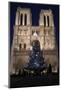 Christmas Tree, Notre-Dame De Paris Cathedral, Paris, France, Europe-Godong-Mounted Photographic Print