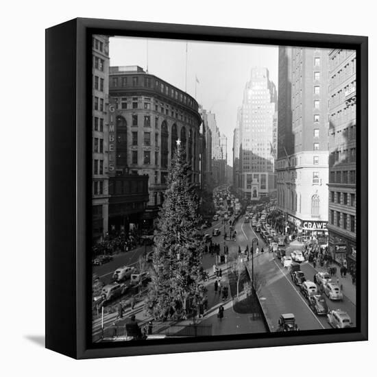 Christmas Tree on 52nd Street Next to Gimbels Department Store, New York, NY, 1940S-Nina Leen-Framed Stretched Canvas