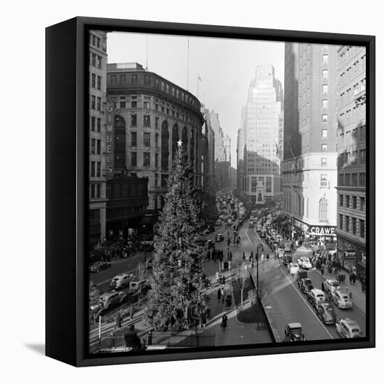 Christmas Tree on 52nd Street Next to Gimbels Department Store, New York, NY, 1940S-Nina Leen-Framed Stretched Canvas
