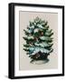 Christmas Tree, Robins and Holly, Postcard-null-Framed Giclee Print