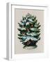 Christmas Tree, Robins and Holly, Postcard-null-Framed Giclee Print