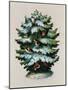 Christmas Tree, Robins and Holly, Postcard-null-Mounted Giclee Print