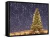 Christmas Tree under Snowfall-null-Framed Stretched Canvas