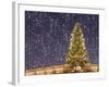 Christmas Tree under Snowfall-null-Framed Photographic Print