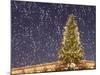 Christmas Tree under Snowfall-null-Mounted Photographic Print