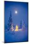 Christmas Tree With White Lights In A Hoarfrost Covered Spruce Forest, Alaska.-Design Pics-Mounted Photographic Print