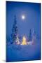 Christmas Tree With White Lights In A Hoarfrost Covered Spruce Forest, Alaska.-Design Pics-Mounted Photographic Print