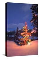 Christmas Tree-null-Stretched Canvas