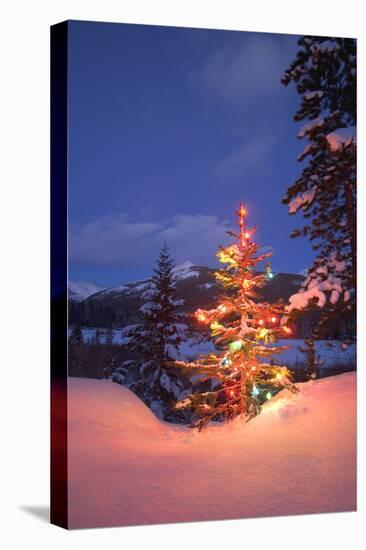 Christmas Tree-null-Stretched Canvas