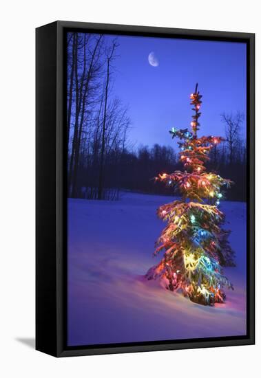 Christmas Tree-null-Framed Stretched Canvas