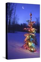 Christmas Tree-null-Stretched Canvas