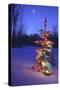 Christmas Tree-null-Stretched Canvas