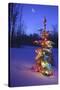 Christmas Tree-null-Stretched Canvas