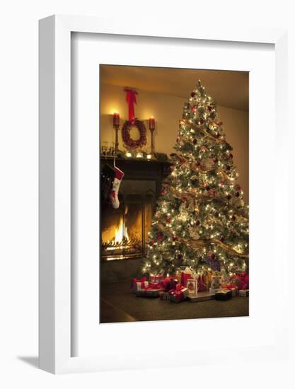 Christmas Tree-null-Framed Photographic Print