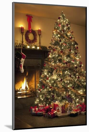 Christmas Tree-null-Mounted Photographic Print
