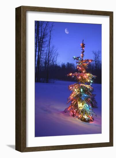 Christmas Tree-null-Framed Photographic Print