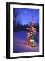 Christmas Tree-null-Framed Photographic Print