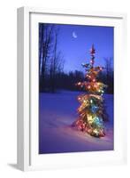 Christmas Tree-null-Framed Photographic Print