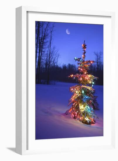 Christmas Tree-null-Framed Photographic Print