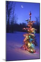 Christmas Tree-null-Mounted Photographic Print