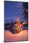 Christmas Tree-null-Mounted Photographic Print