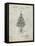 Christmas Tree-Cole Borders-Framed Stretched Canvas