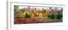 Christmas trees and fall colors, Lincolnville, Waldo County, Maine, USA-Panoramic Images-Framed Photographic Print