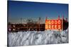 Christmas Trees For Sale Sag Harbor NY-null-Stretched Canvas