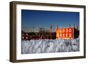 Christmas Trees For Sale Sag Harbor NY-null-Framed Photo