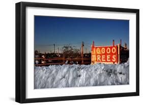 Christmas Trees For Sale Sag Harbor NY-null-Framed Photo