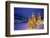 Christmas trees, Park City, Wastch Mountains, Utah-James Kay-Framed Photographic Print