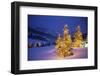 Christmas trees, Park City, Wastch Mountains, Utah-James Kay-Framed Photographic Print