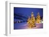 Christmas trees, Park City, Wastch Mountains, Utah-James Kay-Framed Photographic Print