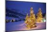 Christmas trees, Park City, Wastch Mountains, Utah-James Kay-Mounted Photographic Print