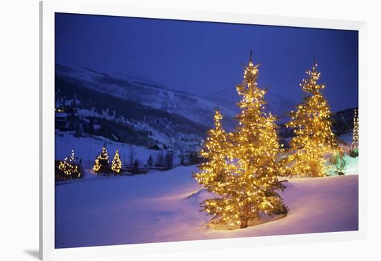 Christmas trees, Park City, Wastch Mountains, Utah-James Kay-Framed Photographic Print