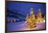 Christmas trees, Park City, Wastch Mountains, Utah-James Kay-Framed Photographic Print