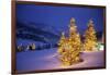 Christmas trees, Park City, Wastch Mountains, Utah-James Kay-Framed Photographic Print