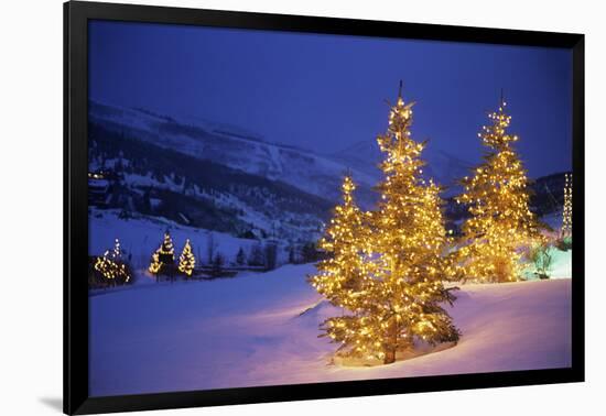 Christmas trees, Park City, Wastch Mountains, Utah-James Kay-Framed Photographic Print