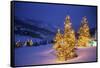 Christmas trees, Park City, Wastch Mountains, Utah-James Kay-Framed Stretched Canvas