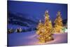 Christmas trees, Park City, Wastch Mountains, Utah-James Kay-Stretched Canvas