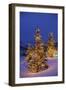 Christmas trees, Park City, Wastch Mountains, Utah-James Kay-Framed Photographic Print