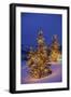 Christmas trees, Park City, Wastch Mountains, Utah-James Kay-Framed Photographic Print