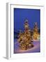 Christmas trees, Park City, Wastch Mountains, Utah-James Kay-Framed Photographic Print