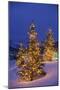Christmas trees, Park City, Wastch Mountains, Utah-James Kay-Mounted Photographic Print