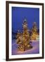 Christmas trees, Park City, Wastch Mountains, Utah-James Kay-Framed Photographic Print