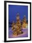 Christmas trees, Park City, Wastch Mountains, Utah-James Kay-Framed Photographic Print