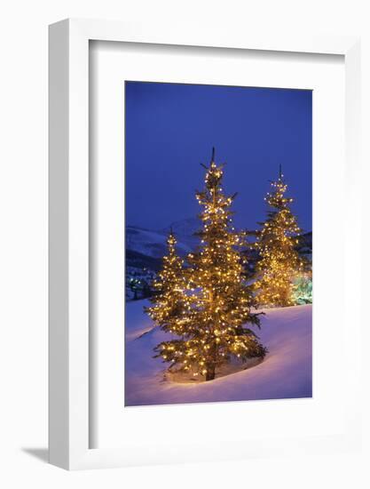 Christmas trees, Park City, Wastch Mountains, Utah-James Kay-Framed Photographic Print