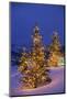 Christmas trees, Park City, Wastch Mountains, Utah-James Kay-Mounted Photographic Print