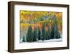 Christmas Trees-J.C. Leacock-Framed Photographic Print